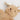 Les Petites Maries レ・プティット・マリー MODESTE le lapin pantin beige 78517