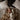Senger Naturwelt ゼンガーナチュウェルト Cuddly animal Goose small white ガチョウ ホワイト チェリーピロー Sサイズ Y21025