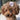 Coucou Suzette ククシュゼット Bichon Mini Hair Claw ふわふわ犬 ヘアクリップ