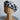 ★GRIS BLACK★GRIS グリ Beret Black Leopard GRBK23AW-AC001A