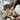 Senger Naturwelt ゼンガーナチュウェルト Bag Bear ベアバッグ Y21609