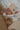 organic zoo オーガニックズー Desert Midnight Bonnet 13DMBONNET