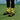 EAT MY SOCKS イートマイソックス Tropical Banana トロピカルバナナソックス