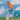 EAT MY SOCKS イートマイソックス Chill Pill チルピルソックス