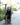 Gris グリ LITE RAIN COAT �U ドッグレインコート PEAT BLACK