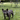 Gris グリ DOG BOLLARD ドッグ ボラード