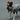 Gris グリ LOGO ROPE TOY ロゴロープトイ WEIMARANER GREY
