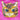NathalieLete ナタリーレテ Nathalie Lete Fluffy mini bag Maya 511031