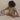 organic zoo オーガニックズー Dusky Checkboard Terry Beach Romper 16BRDCOZ