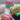 Goma Goma Pouch-M Check ゴマポーチ 410063