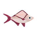 Donfisher ドンフィッシャー ALFONSINO - Case キンメダイ 撥水加工 魚ポーチ