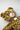 ★2020AW数量限定★Les Petites Maries レ・フ&#12442;ティット・マリー Ours Toinou Leopard Limited Edition