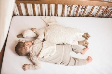 Senger Naturwelt ゼンガーナチュウェルト Cuddly animal Goose large white ガチョウ ホワイト チェリーピロー Lサイズ Y21024