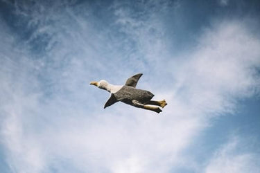 Senger Naturwelt ゼンガーナチュウェルト Cuddly Animal Seagull large カモメ チェリーピロー Lサイズ Y21043