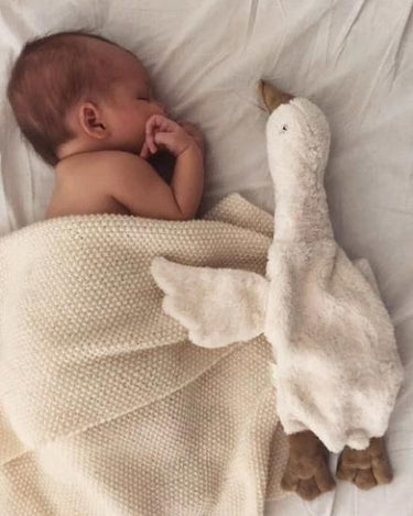 Senger Naturwelt ゼンガーナチュウェルト Cuddly animal Goose small white ガチョウ ホワイト チェリーピロー Sサイズ Y21025