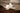 Senger Naturwelt ゼンガーナチュウェルト Cuddly Animal Seal small white アザラシ ホワイト チェリーピロー Sサイズ Y21048