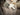 Senger Naturwelt ゼンガーナチュウェルト Cuddly Animal Seal small white アザラシ ホワイト チェリーピロー Sサイズ Y21048