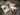 Senger Naturwelt ゼンガーナチュウェルト Cuddly Animal Seal small white アザラシ ホワイト チェリーピロー Sサイズ Y21048