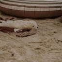 Senger Naturwelt ゼンガーナチュウェルト Cuddly Animal Seal small white アザラシ ホワイト チェリーピロー Sサイズ Y21048