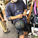 THE PARK SHOP ザ パークショップ BALL PARK PACK navy TPS-442