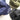 THE PARK SHOP ザ パークショップ SNOWBOY CAP KIDS navy TPS-137