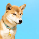 Coucou Suzette ククシュゼット Shiba Key Ring / Pet Tag シバ キーリング/ペットタグ
 