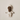 organic zoo オーガニックズー Olive Garden Zoonie DOLLOLIVE