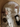 organic zoo オーガニックズー Olive Garden Zoonie DOLLOLIVE