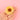 Coucou Suzette ククシュゼット Sunflower Hair Claw ひまわり ヘアクリップ