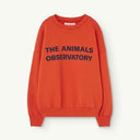 ★BASIC★The Animals Observatory LEO KIDS SWEATSHIRT Red F23118_251_BG 251
