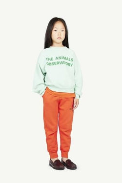 ★BASIC★The Animals Observatory PERSEUS KIDS SWEATSHIRT F23120_257_BG 257