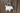 Senger Naturwelt ゼンガーナチュウェルト Bag Sheep ヒツジバッグ Y21607