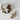 Senger Naturwelt ゼンガーナチュウェルト Animal Baby Bear beige アニマルベビーベア ベージュ Y21905