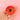 Coucou Suzette ククシュゼット Poppy Hair Claw ポピーヘアクリップ