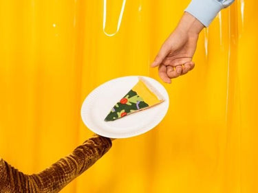 EAT MY SOCKS イートマイソックス Napoli Pizza Vegan ナポリピザソビーガンソックス