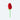 EAT MY SOCKS イートマイソックス Pretty Rose かわいい薔薇ソックス