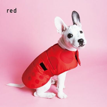 392 plusm サンキューニ プリュスエム maru quilting dog poncho 小型犬ドッグ ポンチョ 犬用レインコート レインウェア Sサイズ 706040