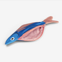 Donfisher ドンフィッシャー Seabass Case Blue 魚ポーチ ブルー スズキ