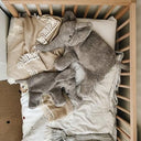 Senger Naturwelt ゼンガーナチュウェルト Cuddly Animal Elephant ゾウ チェリーピロー Sサイズ Y21054