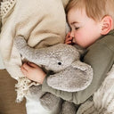 Senger Naturwelt ゼンガーナチュウェルト Cuddly Animal Elephant ゾウ チェリーピロー Sサイズ Y21054