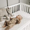 Senger Naturwelt ゼンガーナチュウェルト Cuddly Animal Elephant large ゾウ チェリーピロー Lサイズ Y21053