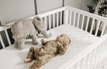 Senger Naturwelt ゼンガーナチュウェルト Cuddly Animal Elephant large ゾウ チェリーピロー Lサイズ Y21053