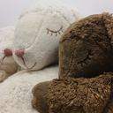 Senger Naturwelt ゼンガーナチュウェルト Cuddly animal Sheep small white ひつじ ホワイト チェリーピロー Sサイズ Y21006