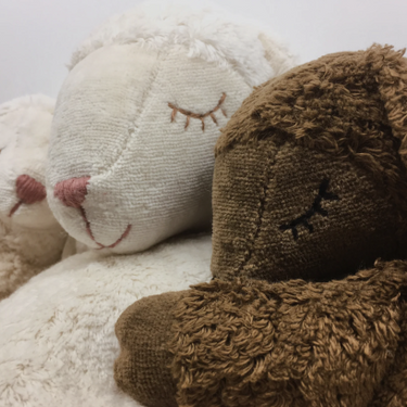 Senger Naturwelt ゼンガーナチュウェルト Cuddly animal Sheep small white ひつじ ホワイト チェリーピロー Sサイズ Y21006