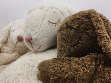 Senger Naturwelt ゼンガーナチュウェルト Cuddly animal Sheep small white ひつじ ホワイト チェリーピロー Sサイズ Y21006