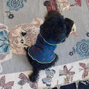 ★frankygrow DOG★frankygrow フランキーグロウ フリルカラーTEE NAVY-RED Strawberry 24FDG002