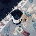 ★frankygrow DOG★frankygrow フランキーグロウ フリルカラーTEE BEIGE GRAY-BLUE Strawberry 24FDG002