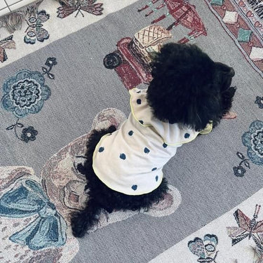 ★frankygrow DOG★frankygrow フランキーグロウ フリルカラーTEE BEIGE GRAY-BLUE Strawberry 24FDG002
