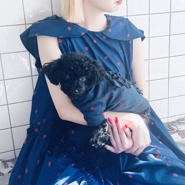 ★frankygrow DOG★frankygrow フランキーグロウ リボン TEE NAVY-RED Strawberry 24FDG004