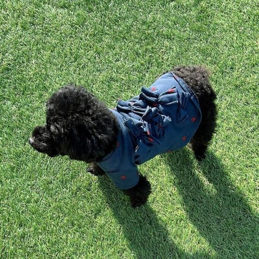 ★frankygrow DOG★frankygrow フランキーグロウ リボン TEE NAVY-RED Strawberry 24FDG004